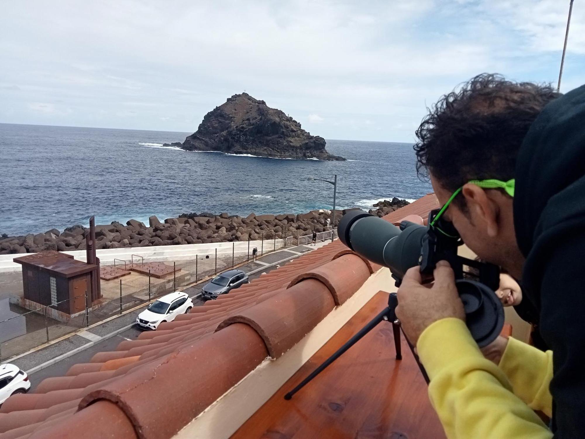 Vv La Joya Del Mar Suites Garachico  Eksteriør billede
